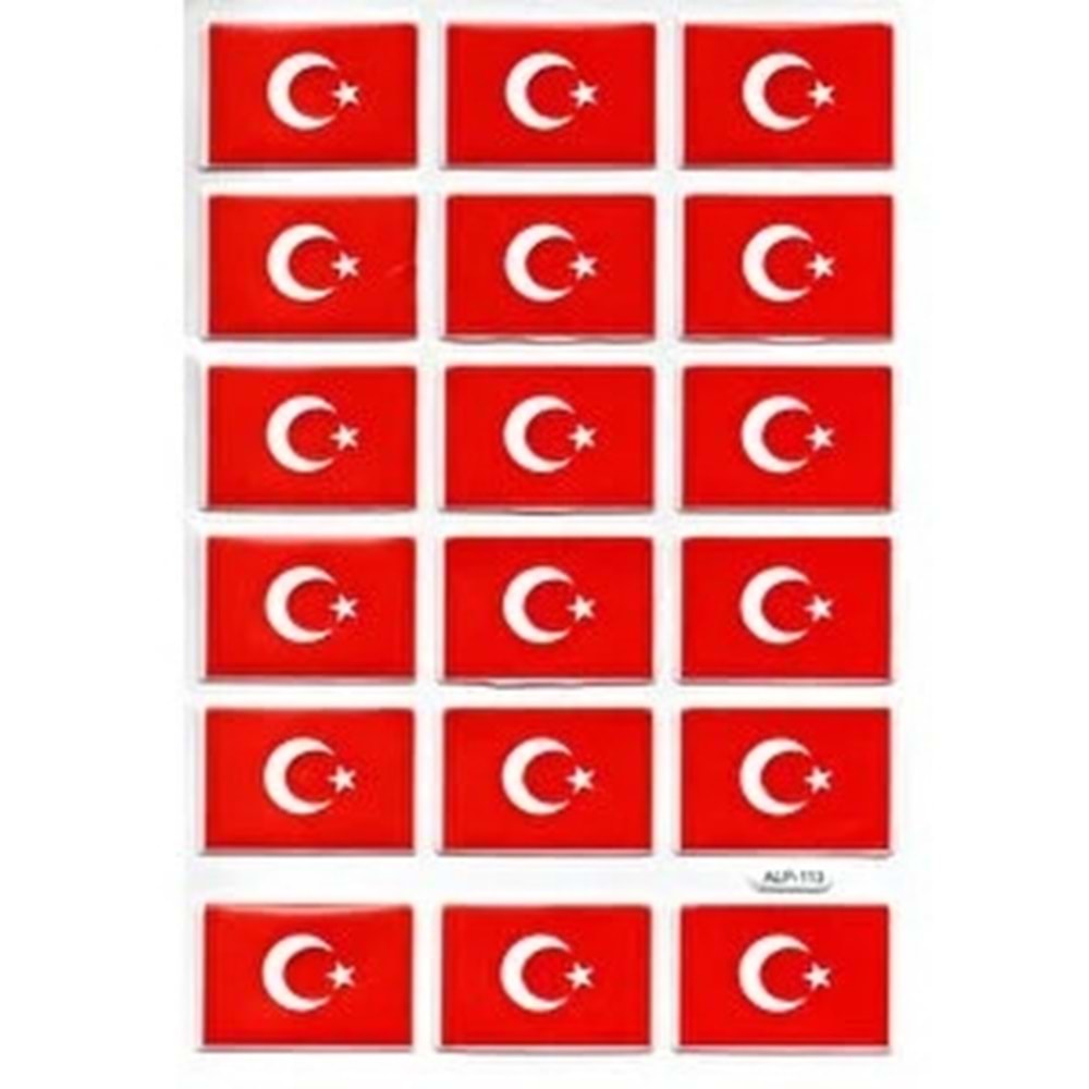 STİCKER-FACE KABARTMALI-A4 BOY BAYRAK FC-7560