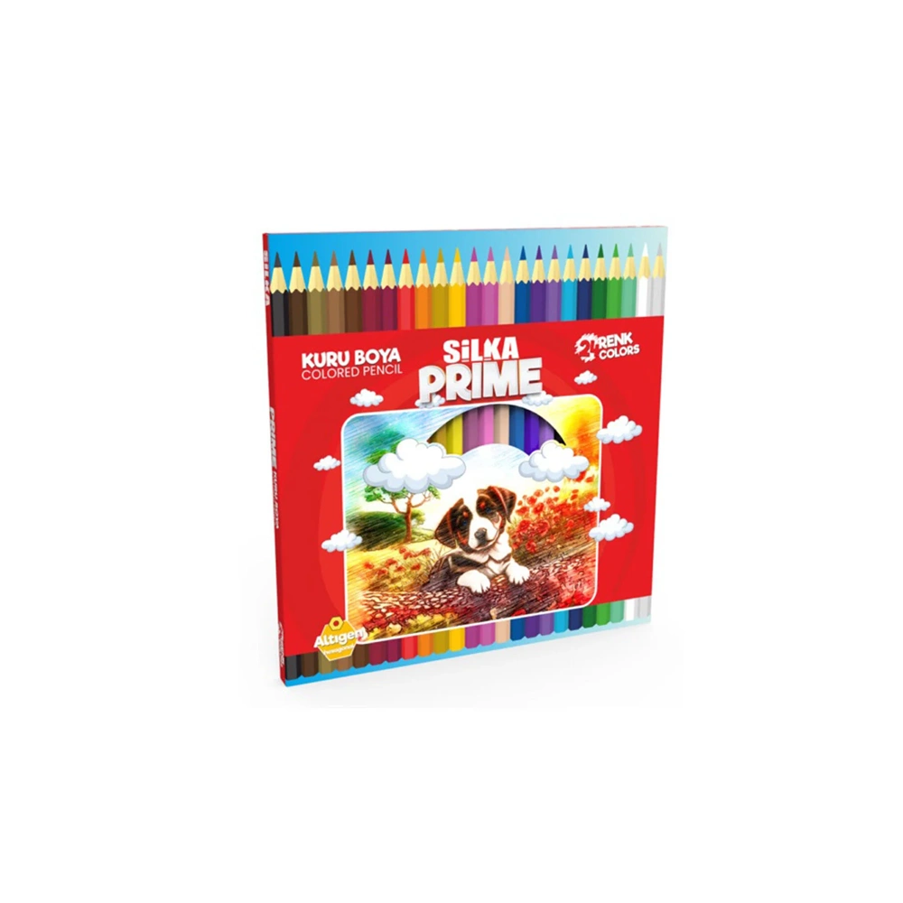 KURU BOYA-SİLKA PRİME ART.1048 PKT*24