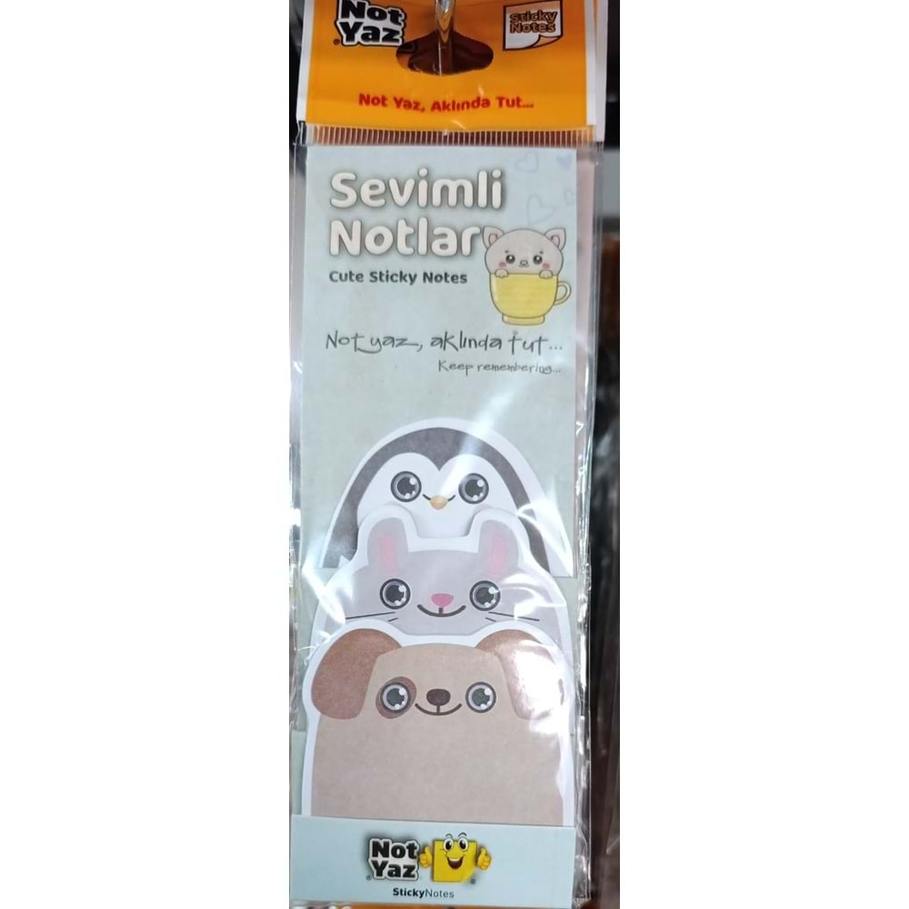 NOT YAZ-SEVİMLİ NOTLAR MODEL 2 PKT*3