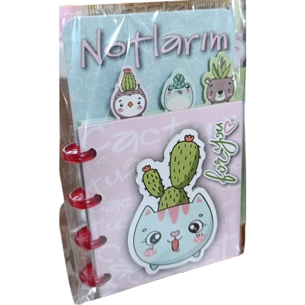 NOTYAZ-NOTLARIM BLOKNOT NB-4705
