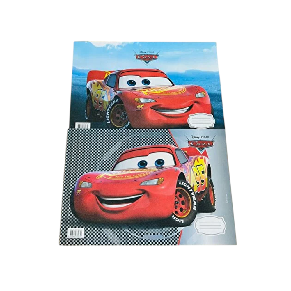 BESLENME ÖRTÜSÜ-CARS PKT*48