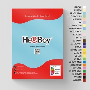 FON KARTON 35x50-160GR.HERBOY PKT*100-A.MAVİ