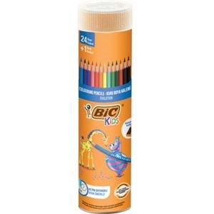 KURU BOYA TÜP-BİC EVOLUTİON 24+1