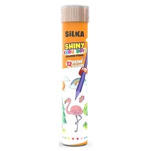 KURU BOYA TÜP*SİLKA