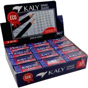 SİLGİ-SİLKA KALY SINAV MAVİ PKT*24