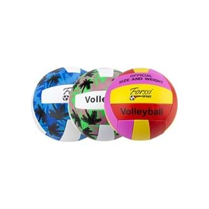 VOLEYBOL*EKO