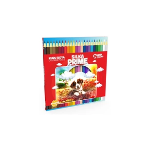 KURU BOYA-SİLKA PRİME ART.1048 PKT*24