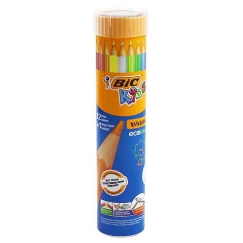 KURU BOYA TÜP-BİC 12+1