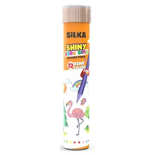 KURU BOYA TÜP*SİLKA