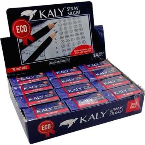 SİLGİ-SİLKA KALY SINAV MAVİ PKT*24