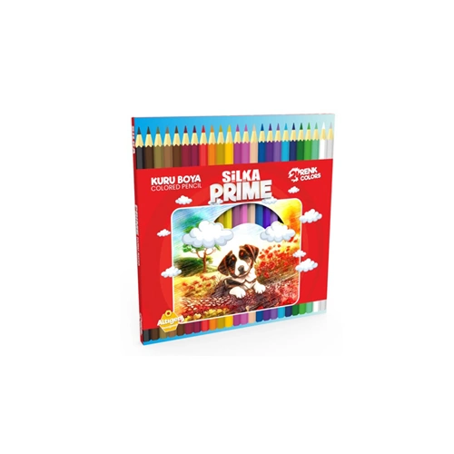 KURU BOYA-SİLKA PRİME ART.1048 PKT*24