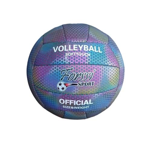 VOLEYBOL*HOLOGRAFİK VB-308