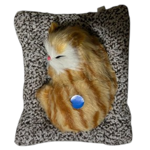 MİYAVLAYAN KEDİ*KK2
