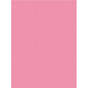 FON KARTON 50x70-160GR.HERBOY PKT*100-PEMBE