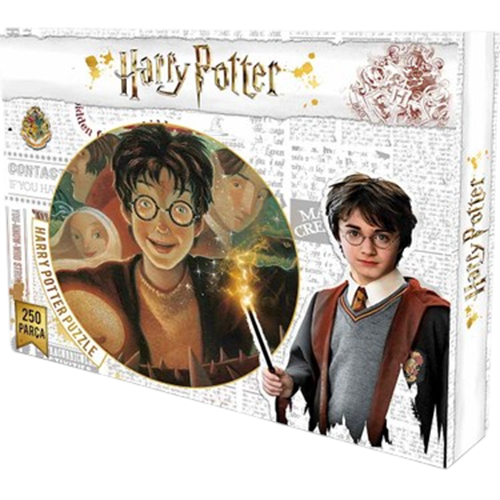 PUZZLE-250 PARÇA*HARRY POTTER