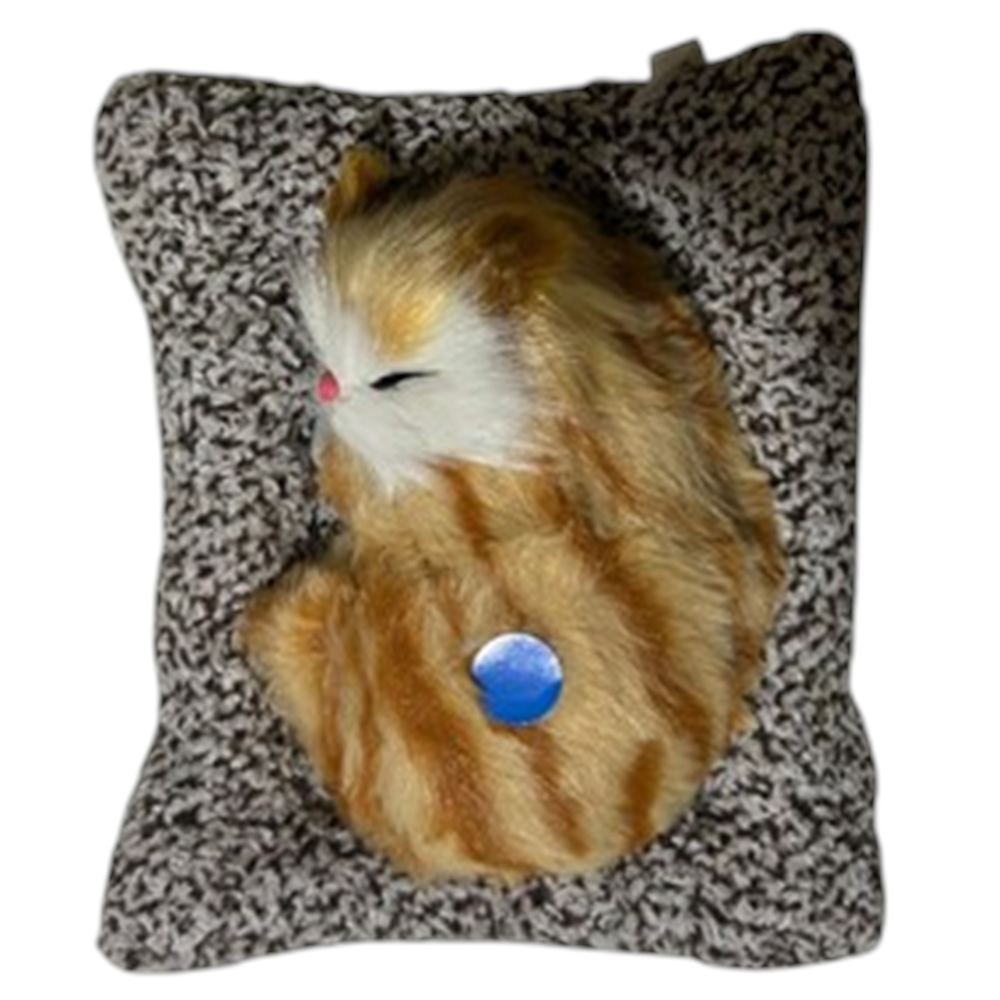 MİYAVLAYAN KEDİ*KK2